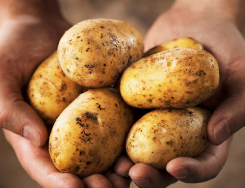 The Humble Potato